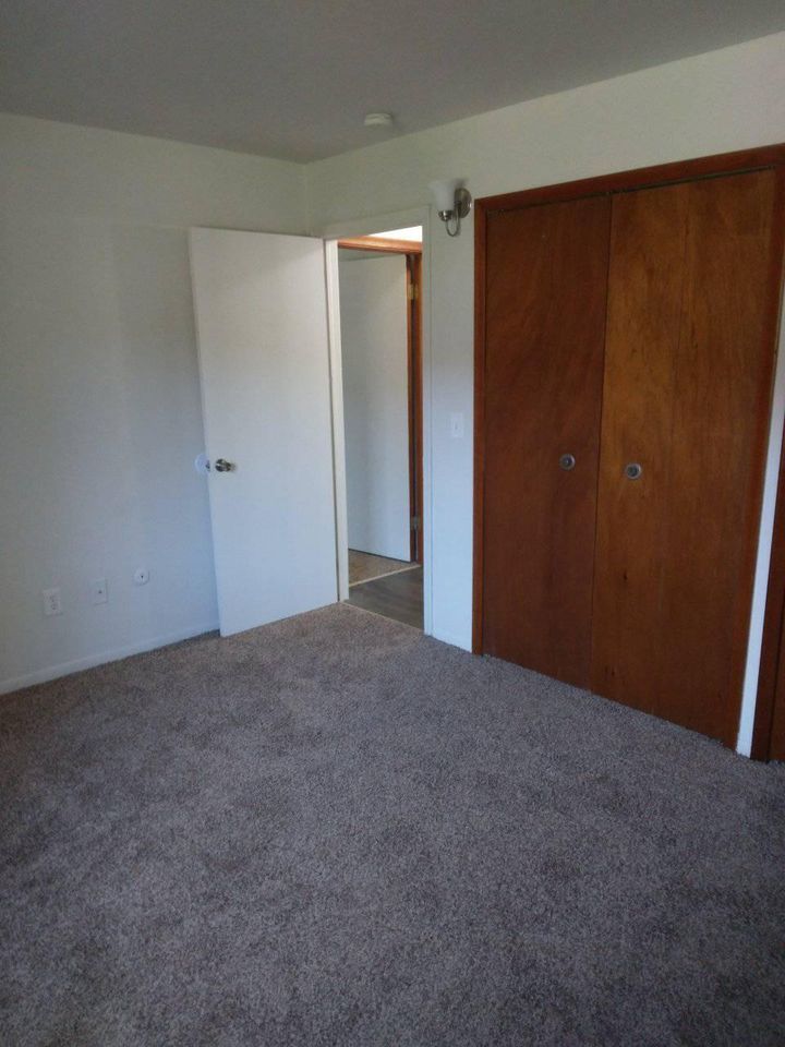 1 Bed 1 Bath - Apartment photo'