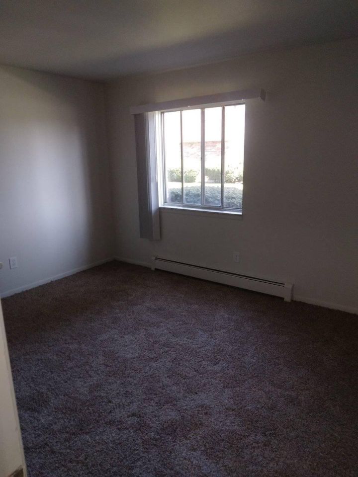 1 Bed 1 Bath - Apartment photo'