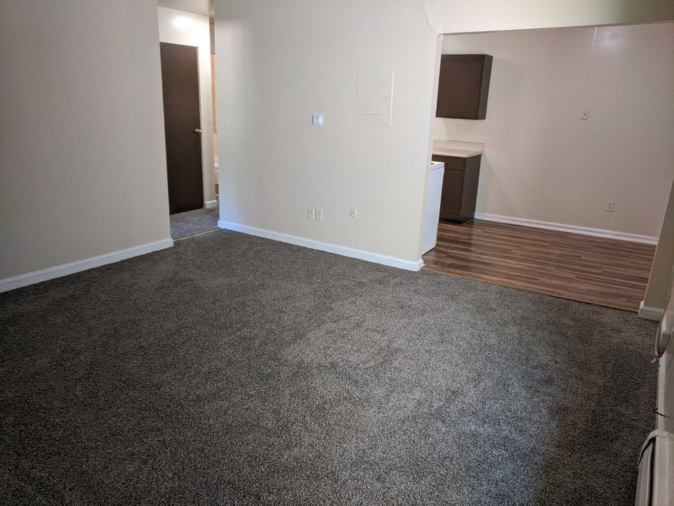 1 Bed 1 Bath Apartment photo'