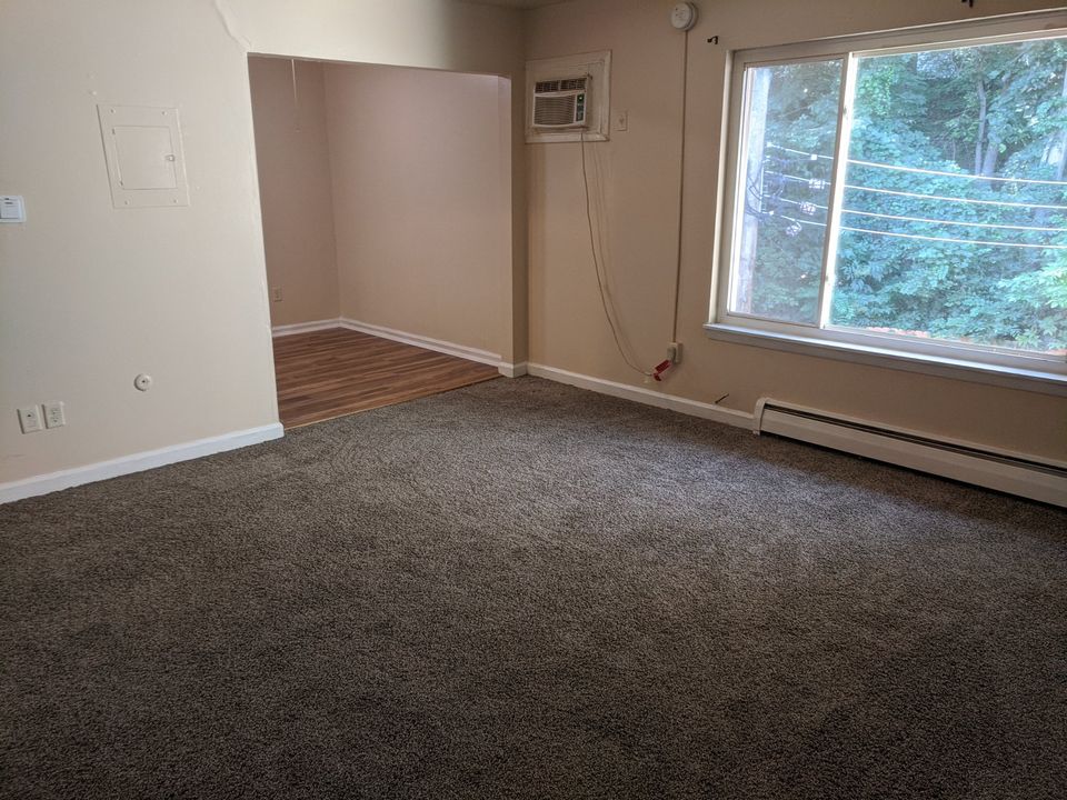 1 Bed 1 Bath Apartment photo'