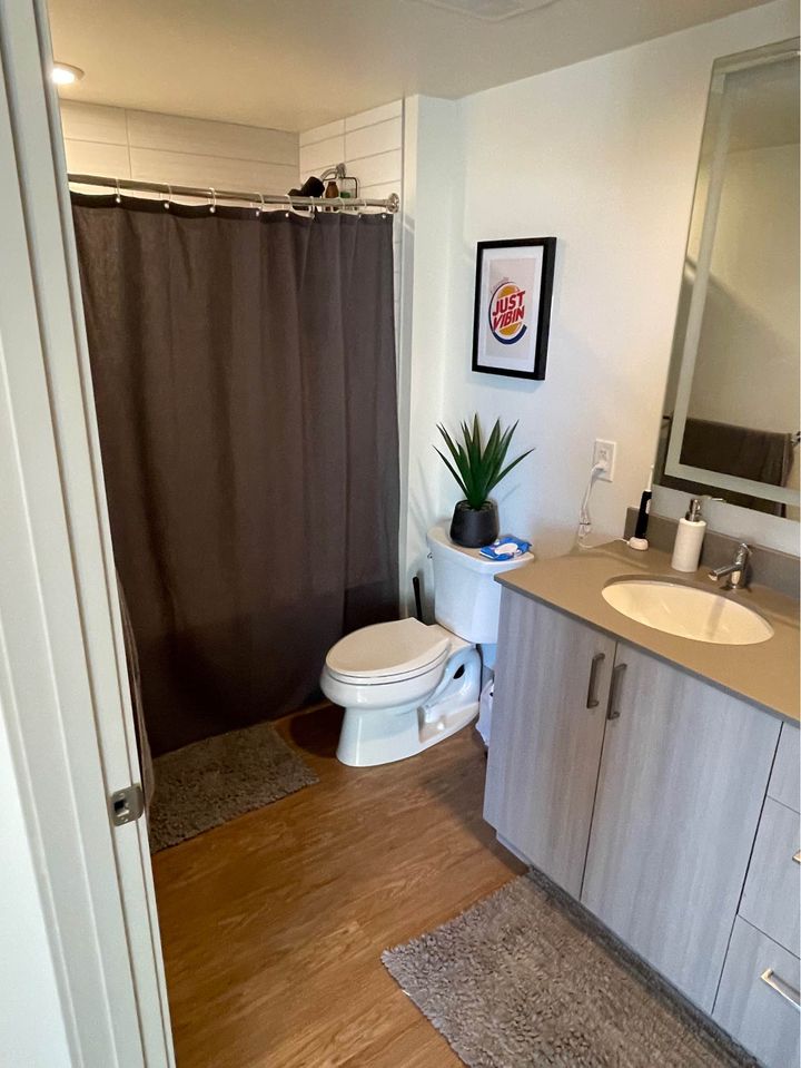 1 Bed 1 Bath - Apartment photo'