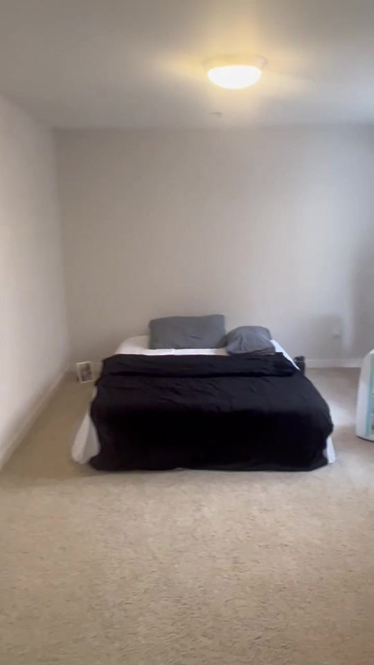 1 Bed 1 Bath - Apartment photo'