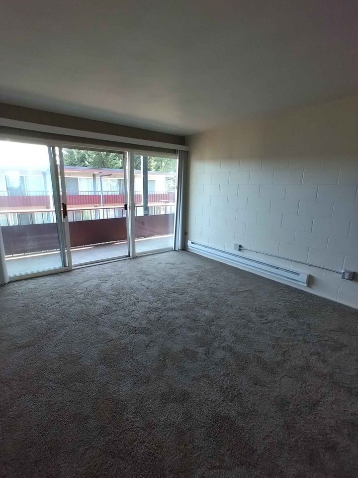 1 Bed 1 Bath Apartment photo'