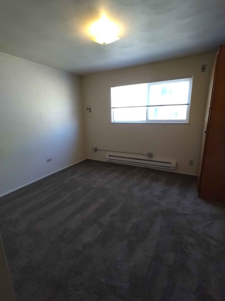 1 Bed 1 Bath Apartment photo'