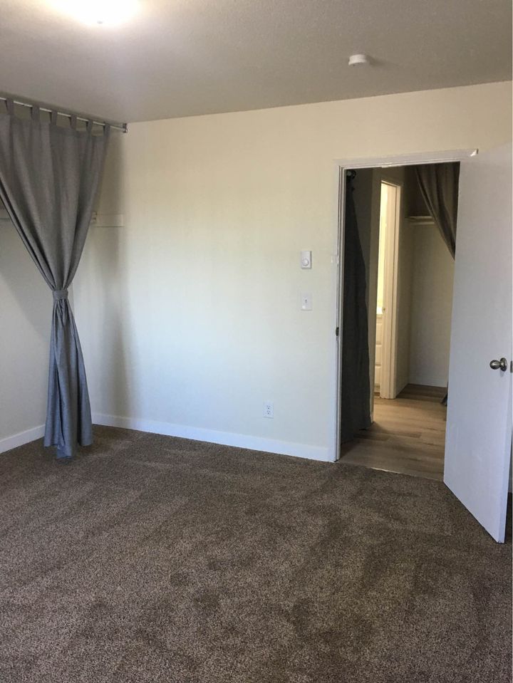 1 Bed 1 Bath - Apartment photo'