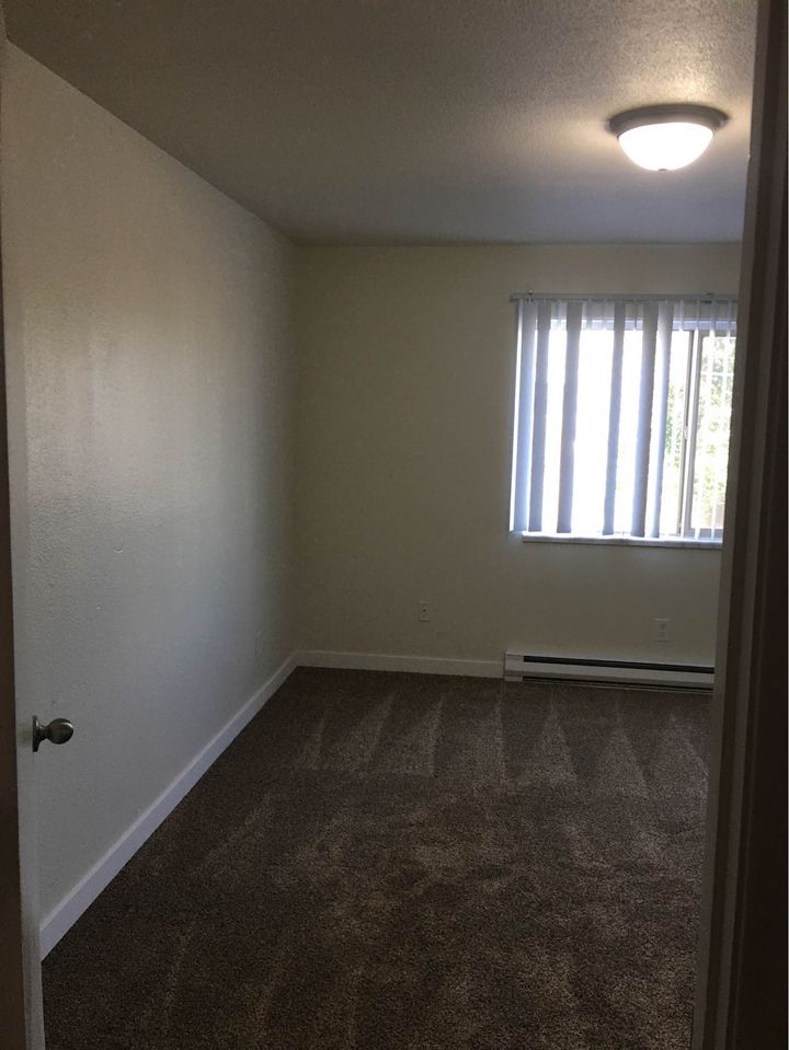 1 Bed 1 Bath - Apartment photo'