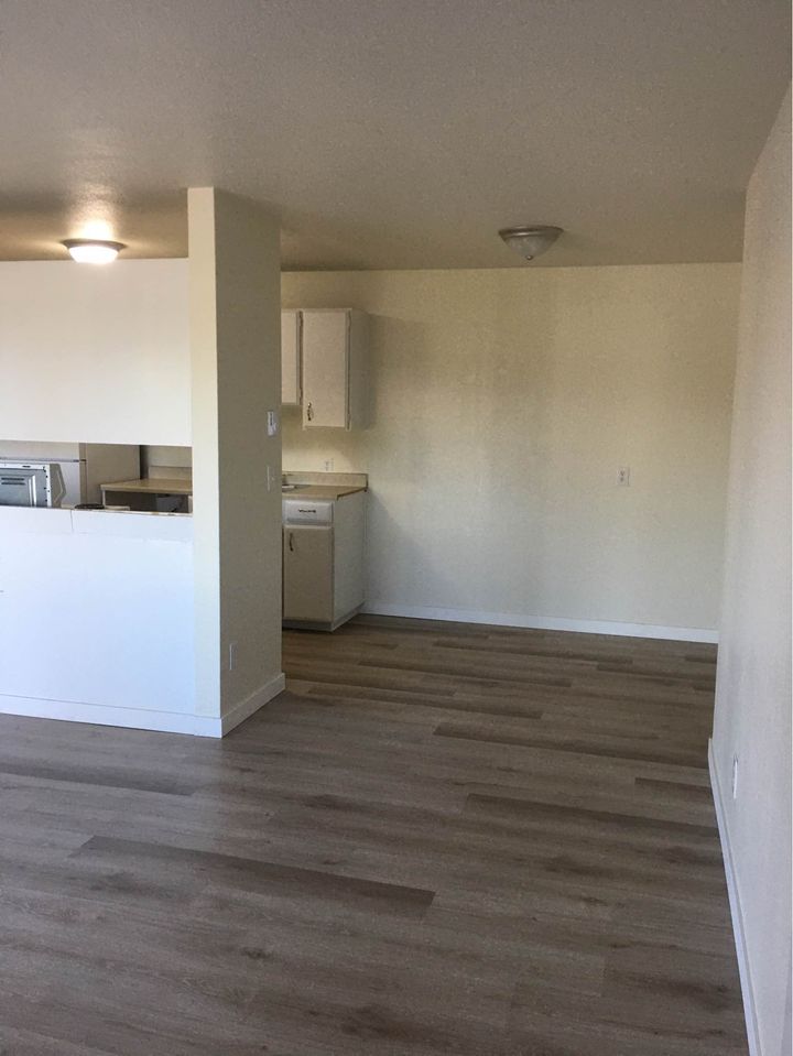 1 Bed 1 Bath - Apartment photo'