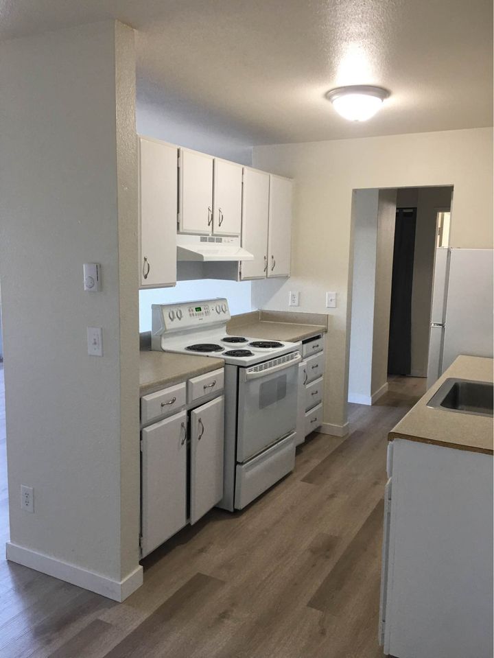 1 Bed 1 Bath - Apartment photo'