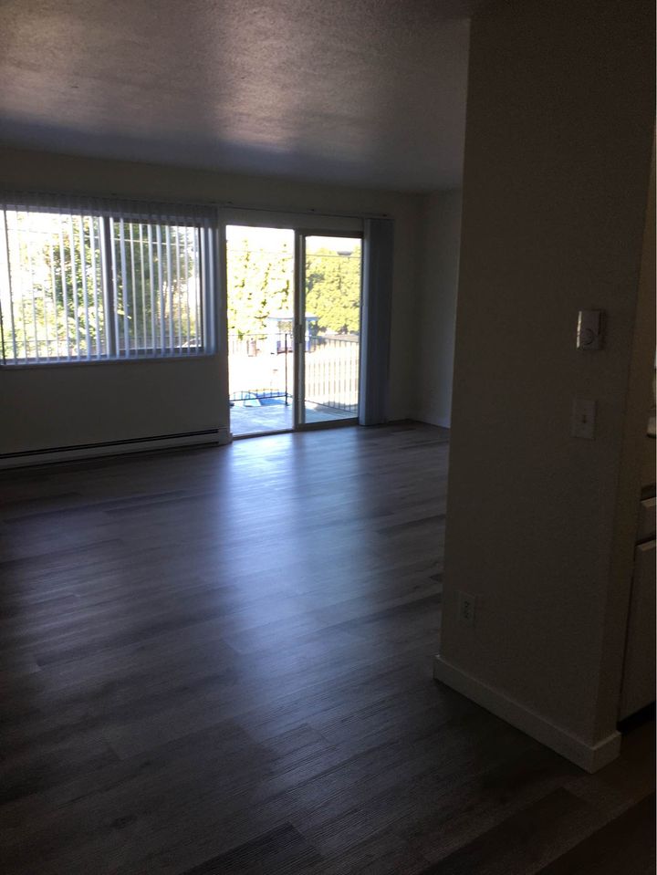 1 Bed 1 Bath - Apartment photo'