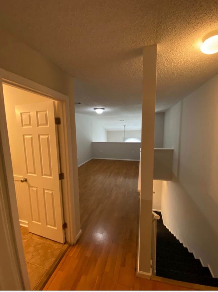 1 Bed 1 Bath - Apartment photo'