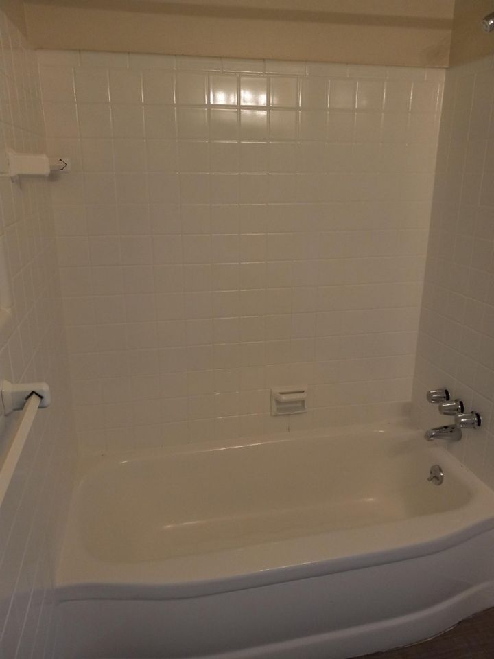 1 Bed 1 Bath Apartment photo'