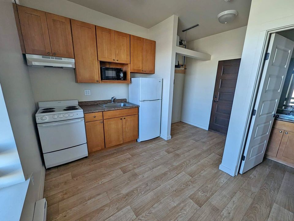 1 Bed 1 Bath Apartment