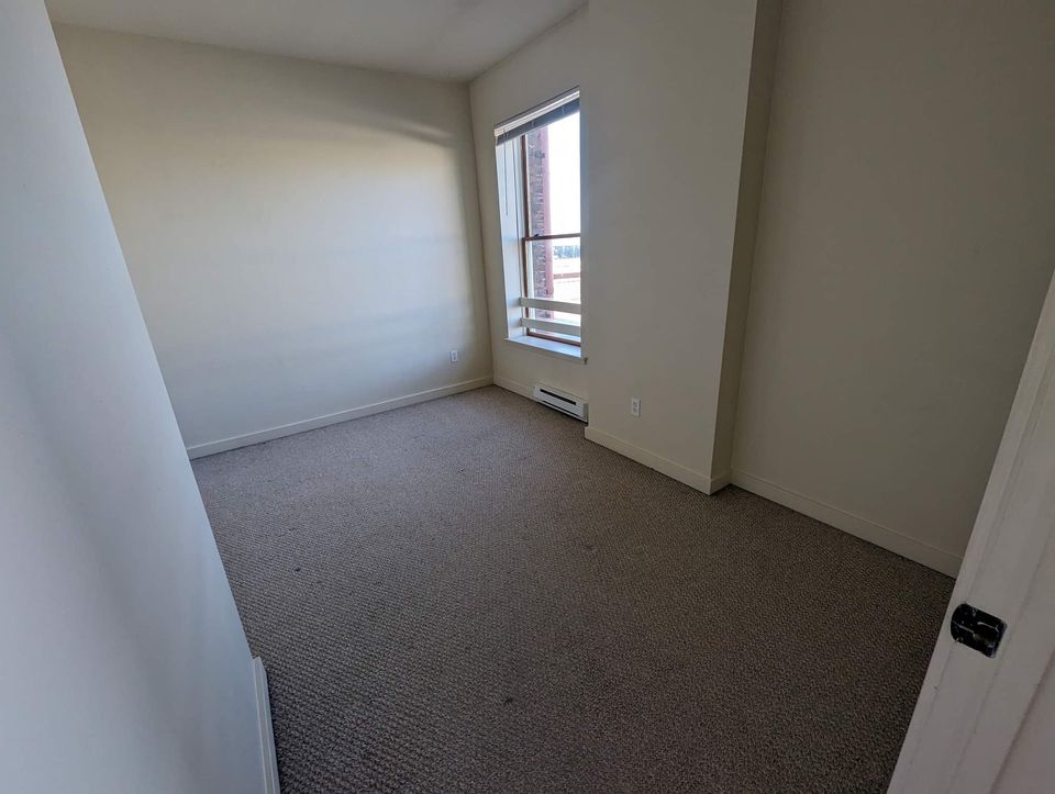 1 Bed 1 Bath Apartment photo'