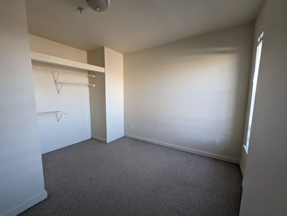 1 Bed 1 Bath Apartment photo'