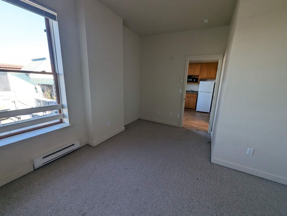 1 Bed 1 Bath Apartment photo'