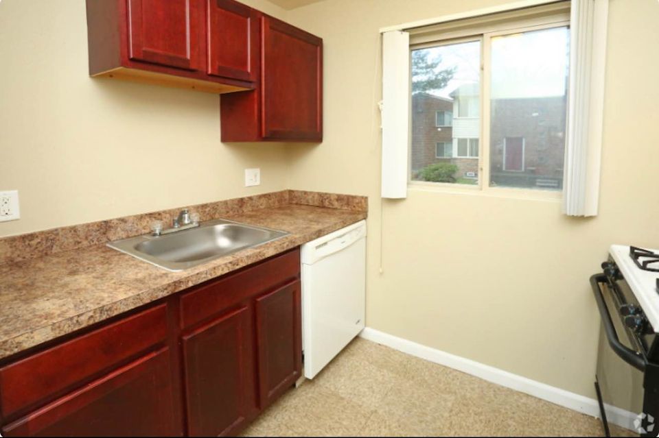 1 Bed 1 Bath Apartment photo'