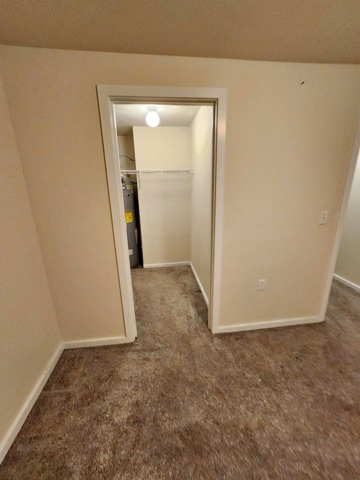 1 Bed 1 Bath - Apartment photo'