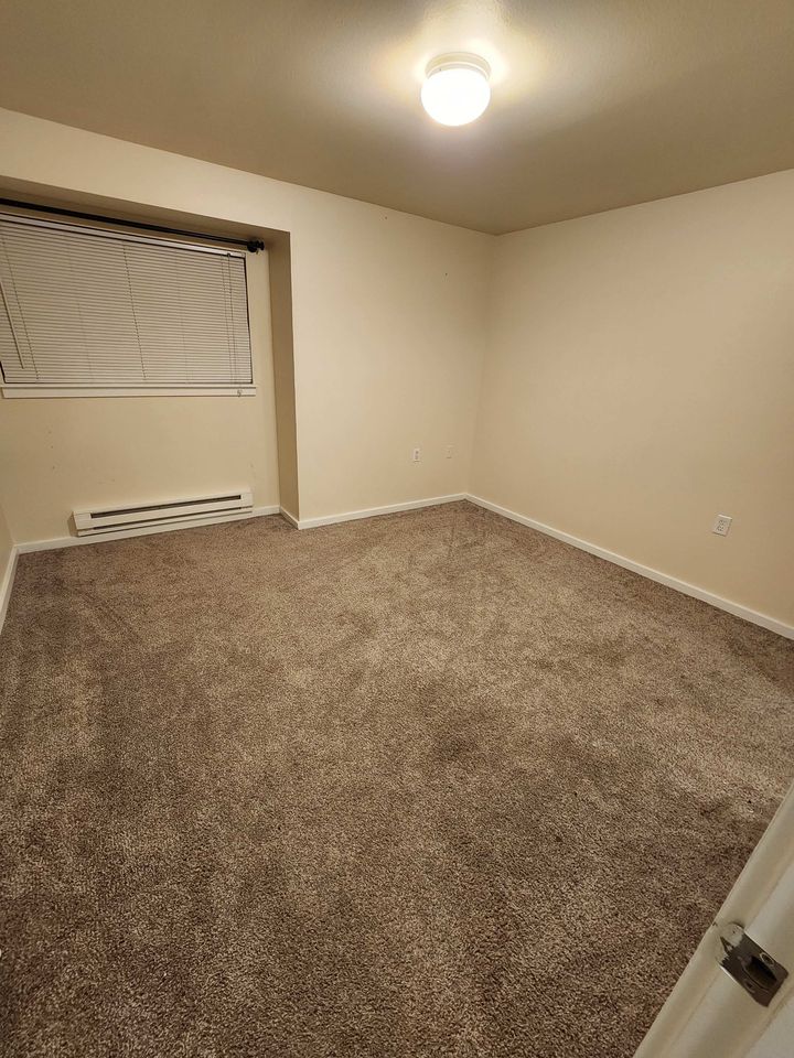 1 Bed 1 Bath - Apartment photo'