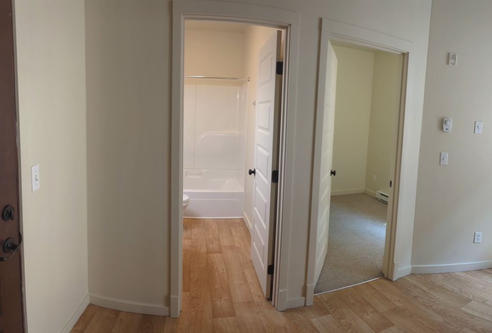 1 Bed 1 Bath Apartment photo'