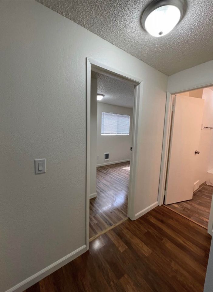 2 Beds 1 Bath - Apartment photo'