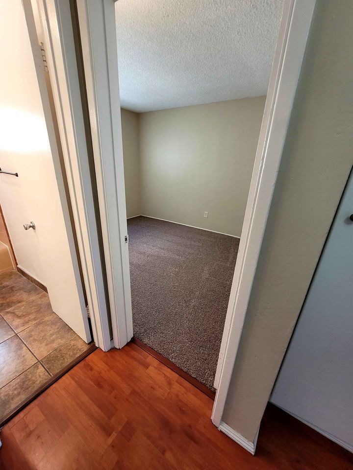 2 Beds 1 Bath Apartment photo'