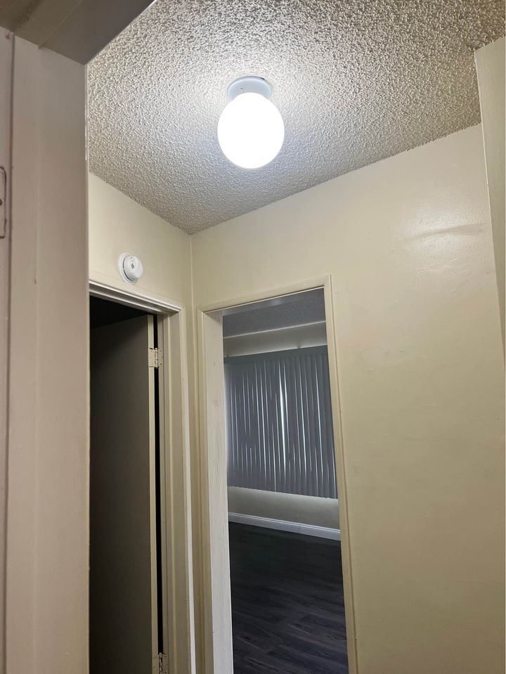 1 Bed 1 Bath - Apartment photo'