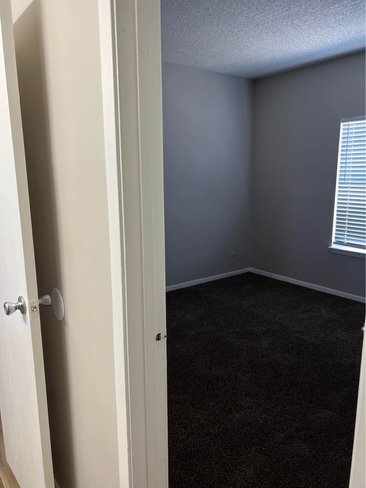 1 Bed 1 Bath - Apartment photo'