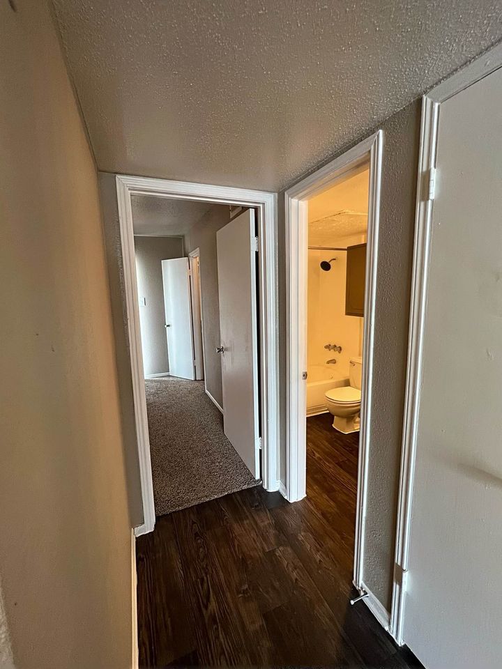 1 Bed 1 Bath - Apartment photo'