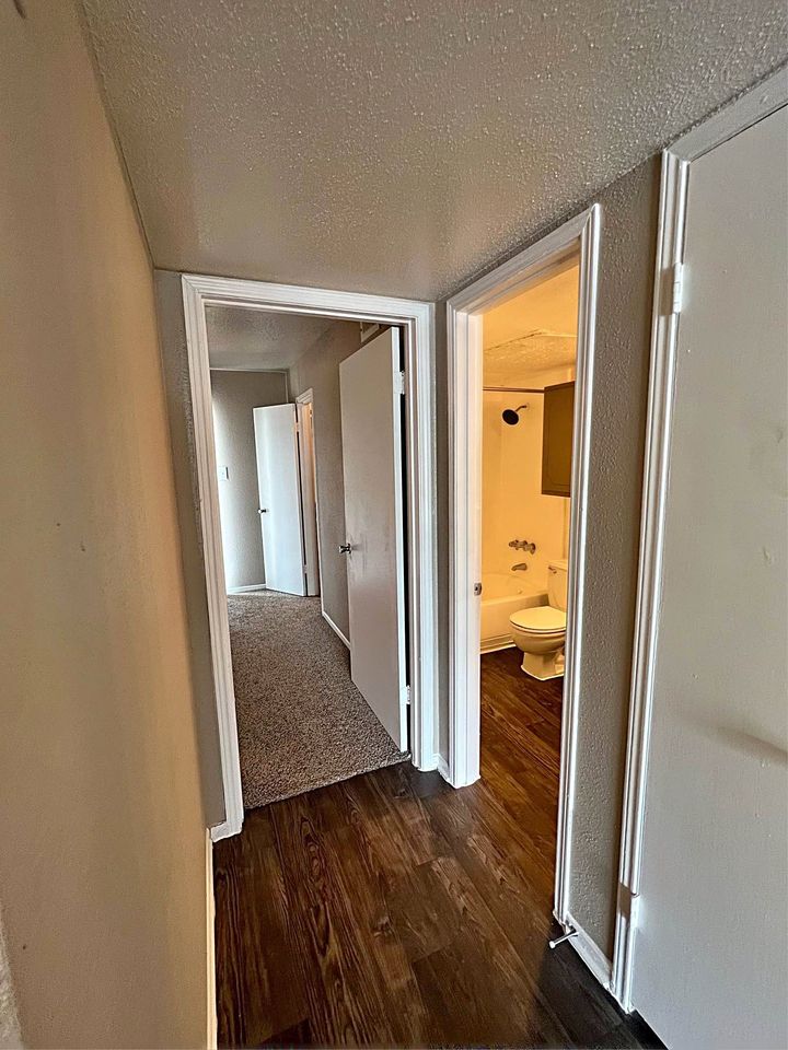 1 Bed 1 Bath - Apartment