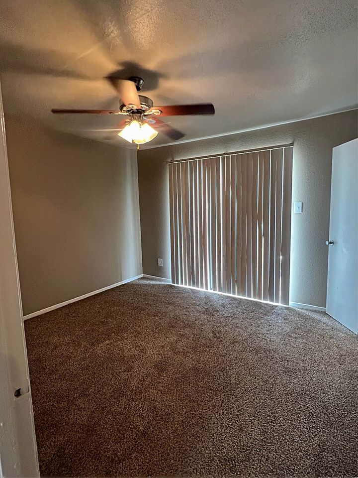 1 Bed 1 Bath - Apartment photo'