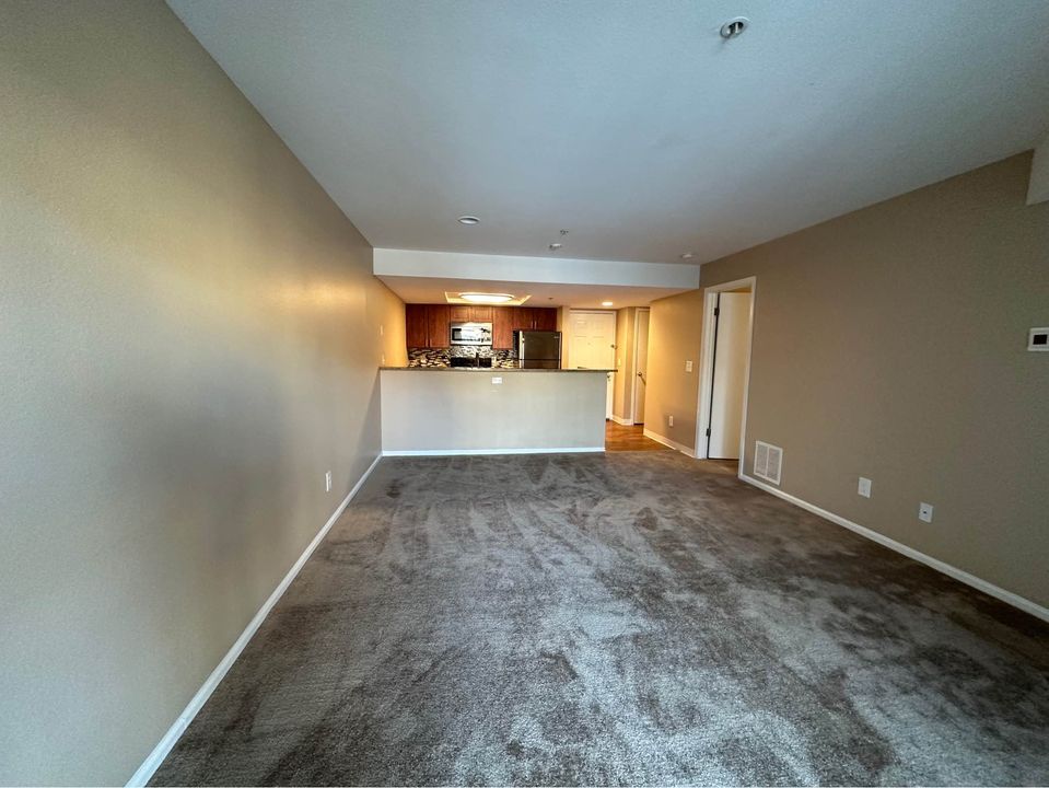 1 Bed 1 Bath - Apartment photo'