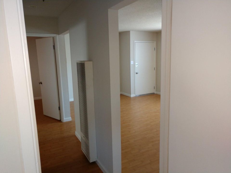 2 Beds 1 Bath Apartment photo'