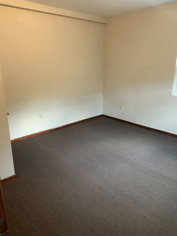 1 Bed 1 Bath Apartment photo'