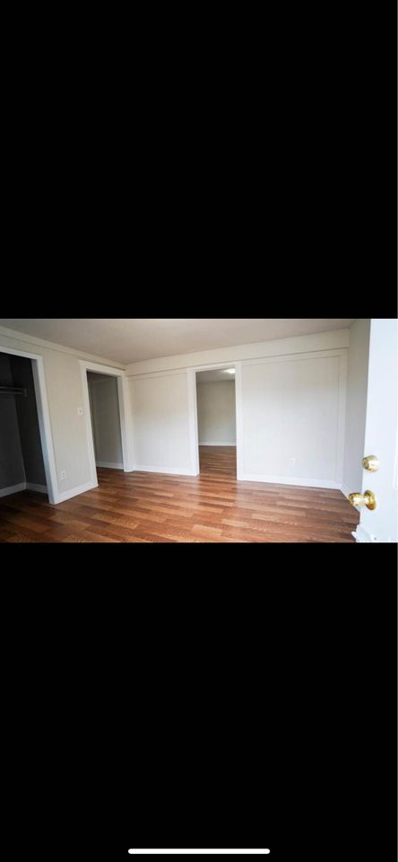 1 Bed 1 Bath - Apartment photo'