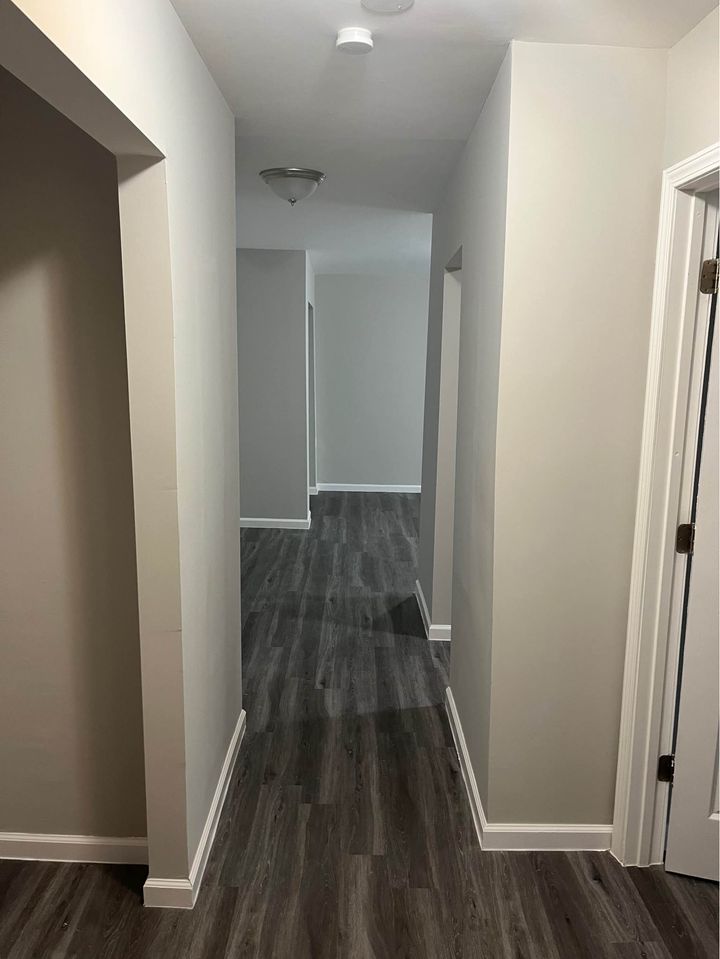 1 Bed 1 Bath - Apartment photo'