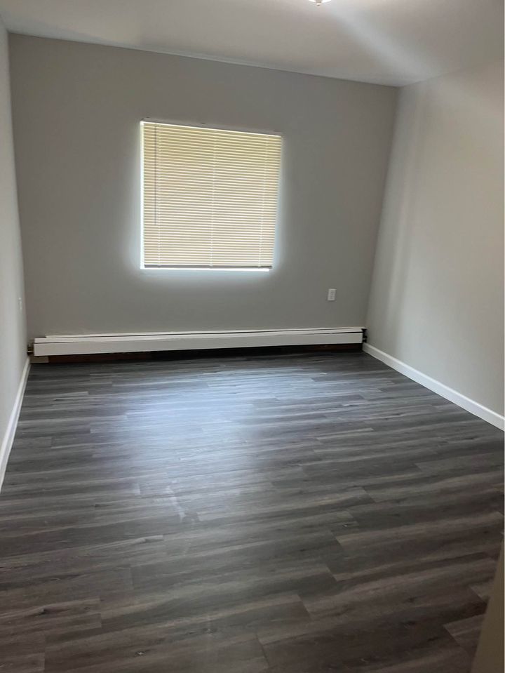 1 Bed 1 Bath - Apartment photo'