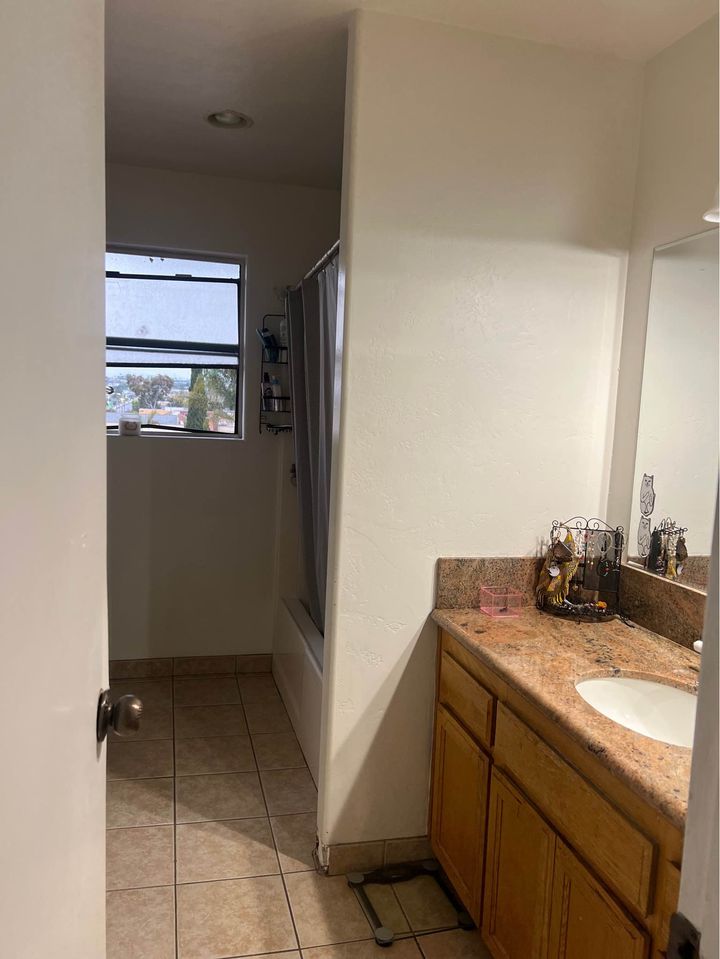 1 Bed 1 Bath - Apartment photo'