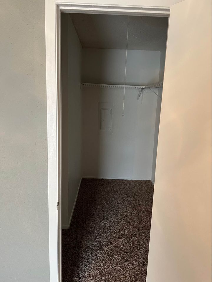 1 Bed 1 Bath - Apartment photo'