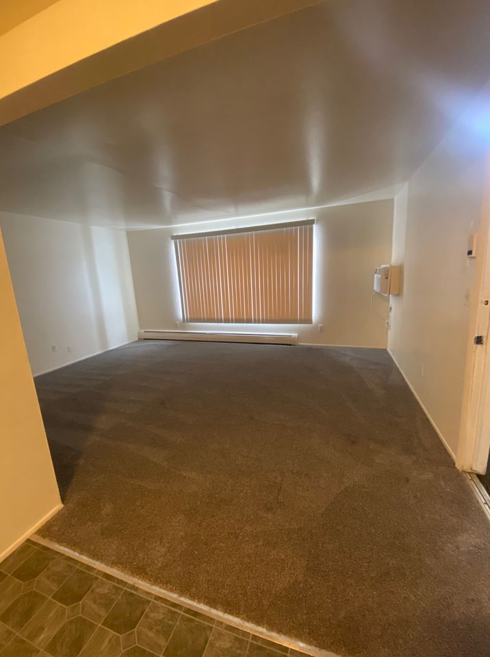 1 Bed 1 Bath Apartment photo'