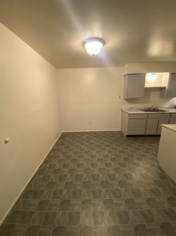 1 Bed 1 Bath Apartment photo'