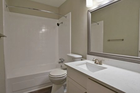 1 Bed 1 Bath Apartment photo'