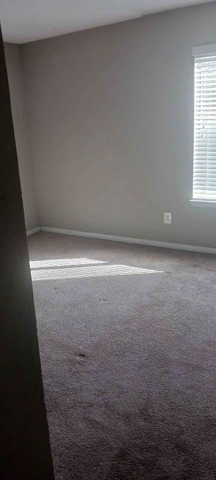 1 Bed 1 Bath - Apartment photo'