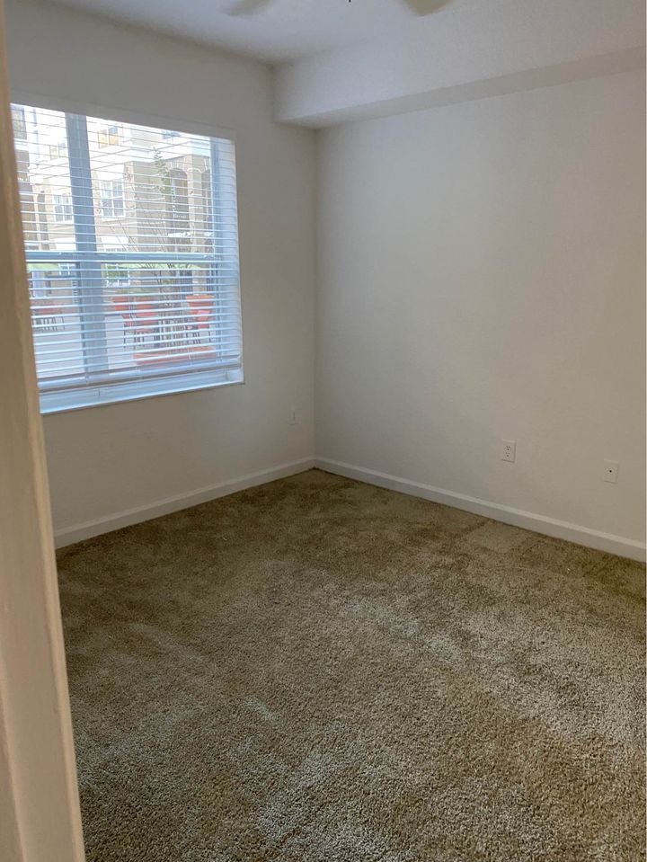 1 Bed 1 Bath - Apartment photo'