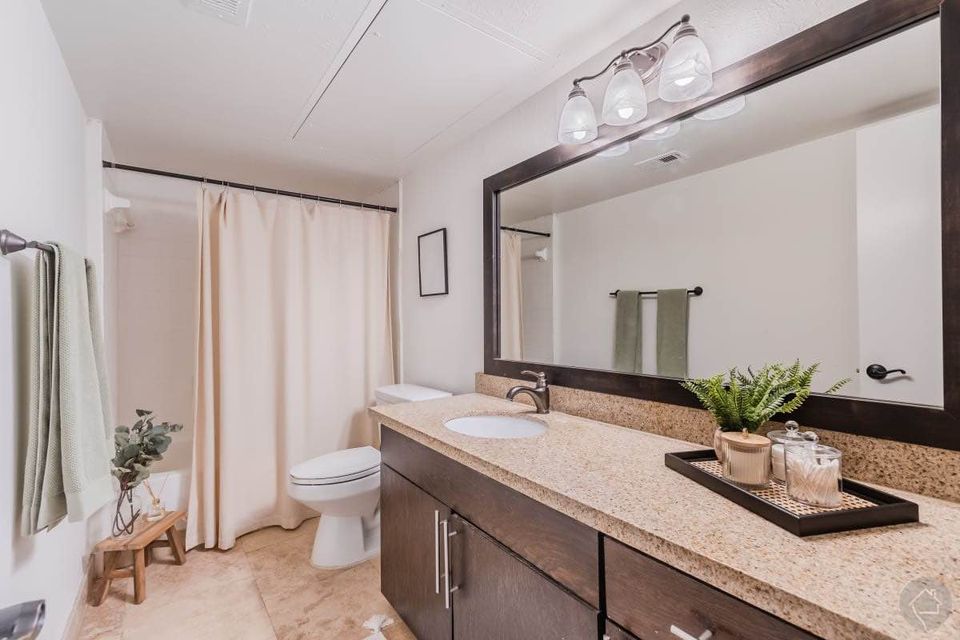 1 Bed 1 Bath - Apartment photo'