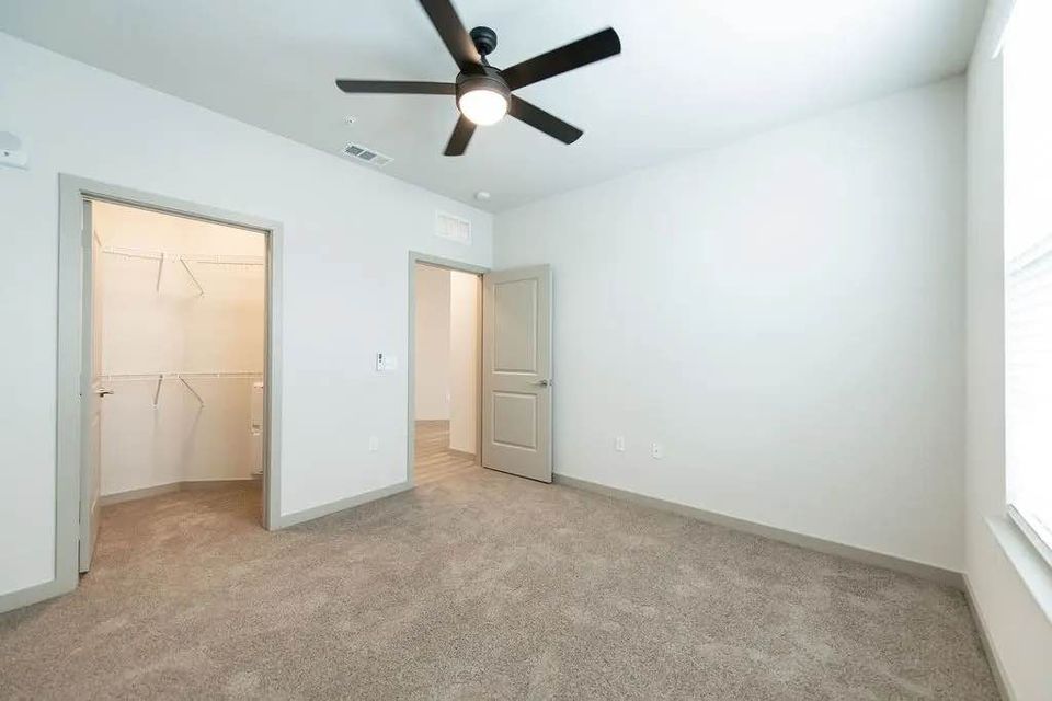 1 Bed 1 Bath - Apartment photo'