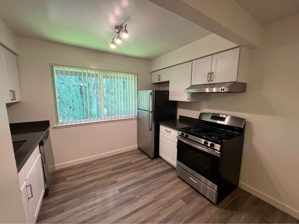 1 Bed 1 Bath - Apartment photo'