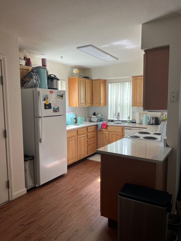 1 Bed 1 Bath Apartment photo'