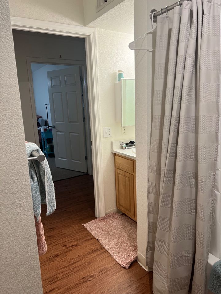 1 Bed 1 Bath Apartment photo'