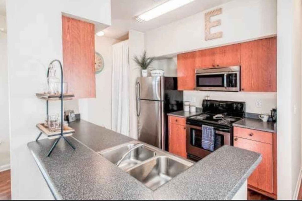 1 Bed 1 Bath - Apartment photo'