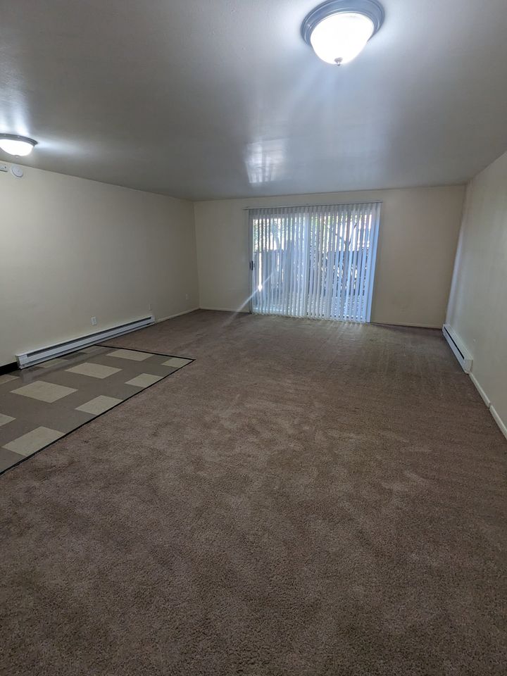 1 Bed 1 Bath Apartment photo'